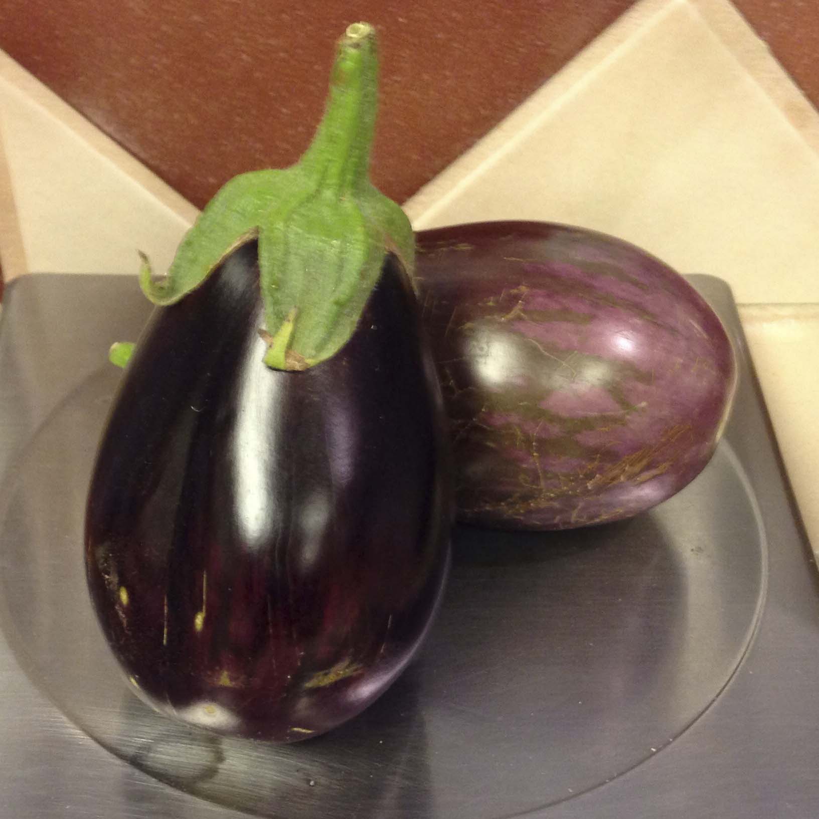 Imperial Black Beauty Eggplant The Plant Lady